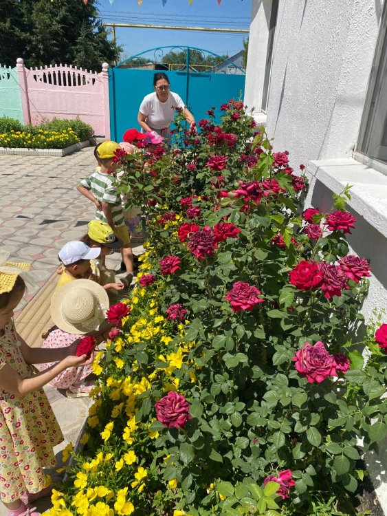 "Гүлзардағы әсем гүлдеріміз"
